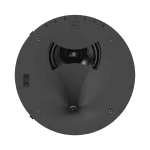 SCL8